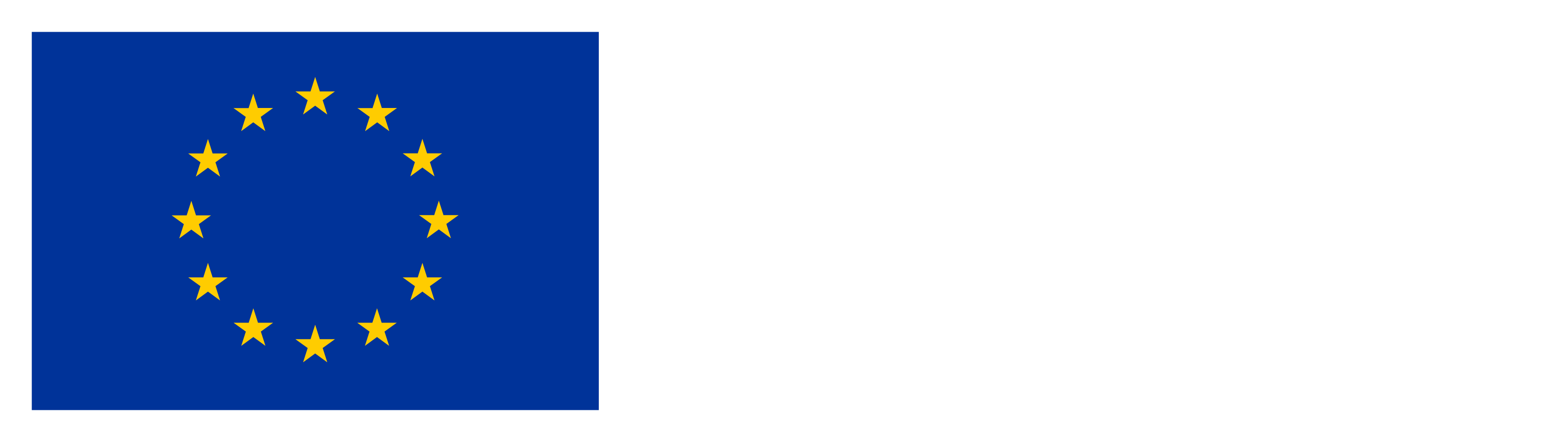 Financed by the European Union – NextGenerationEU